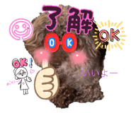 788567746