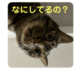788568703