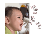 788588686