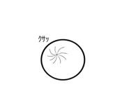 788597573
