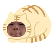 788608499