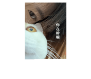 788608501