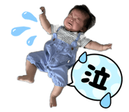 788637796