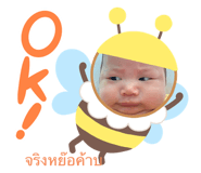 788639243
