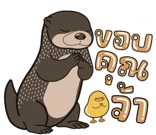 788639365