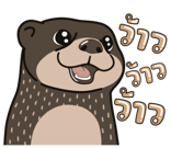 788639370