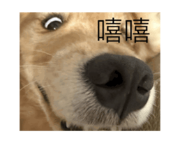 788645587
