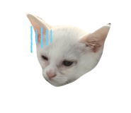 788659193