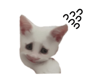 788659194