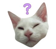 788659195