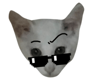 788659197