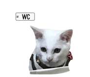 788659199