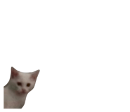 788659202
