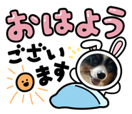 788663870