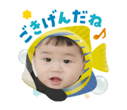 788664590