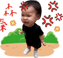 788672764