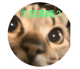 788674303