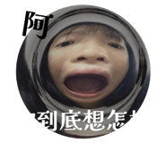 788674520