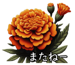 788676079