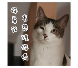 788676111
