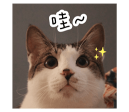 788676115