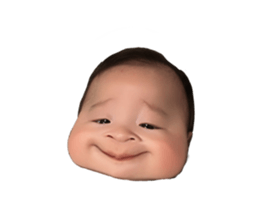 788686406