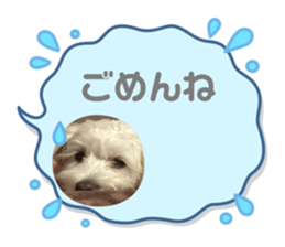 788697462