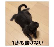 788701652