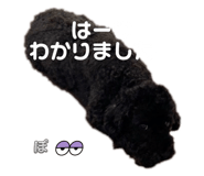 788702740