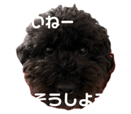788702746