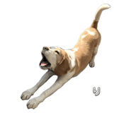 788702757