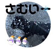 788702762