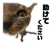 788702791