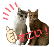 788705936