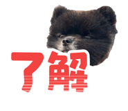 788708374