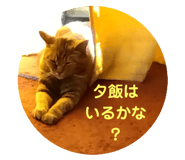 788721119