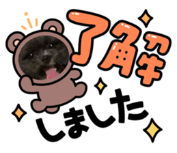 788726908