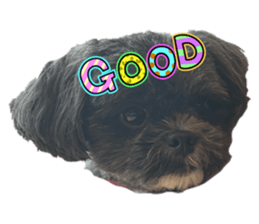 788726917
