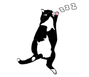 788734750