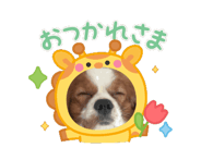 788738931