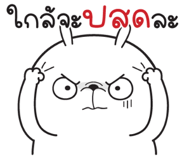 ลายที่ 13