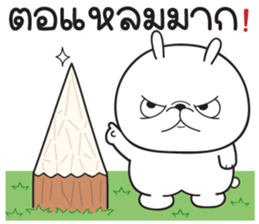 ลายที่ 31