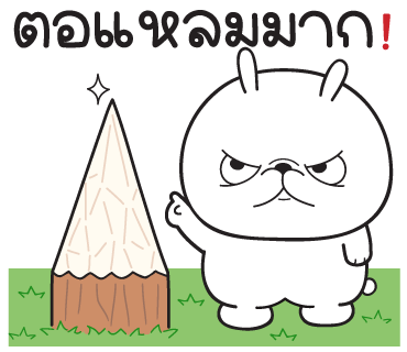 ลายที่ 16