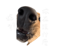 788764681