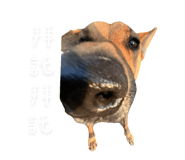 788764684