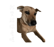788764685