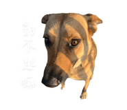 788764693