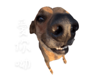 788764695