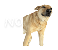 788764699