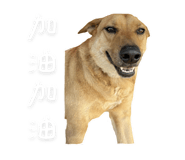 788764702